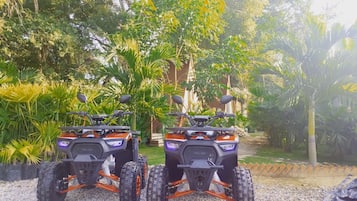 Scooter/moped