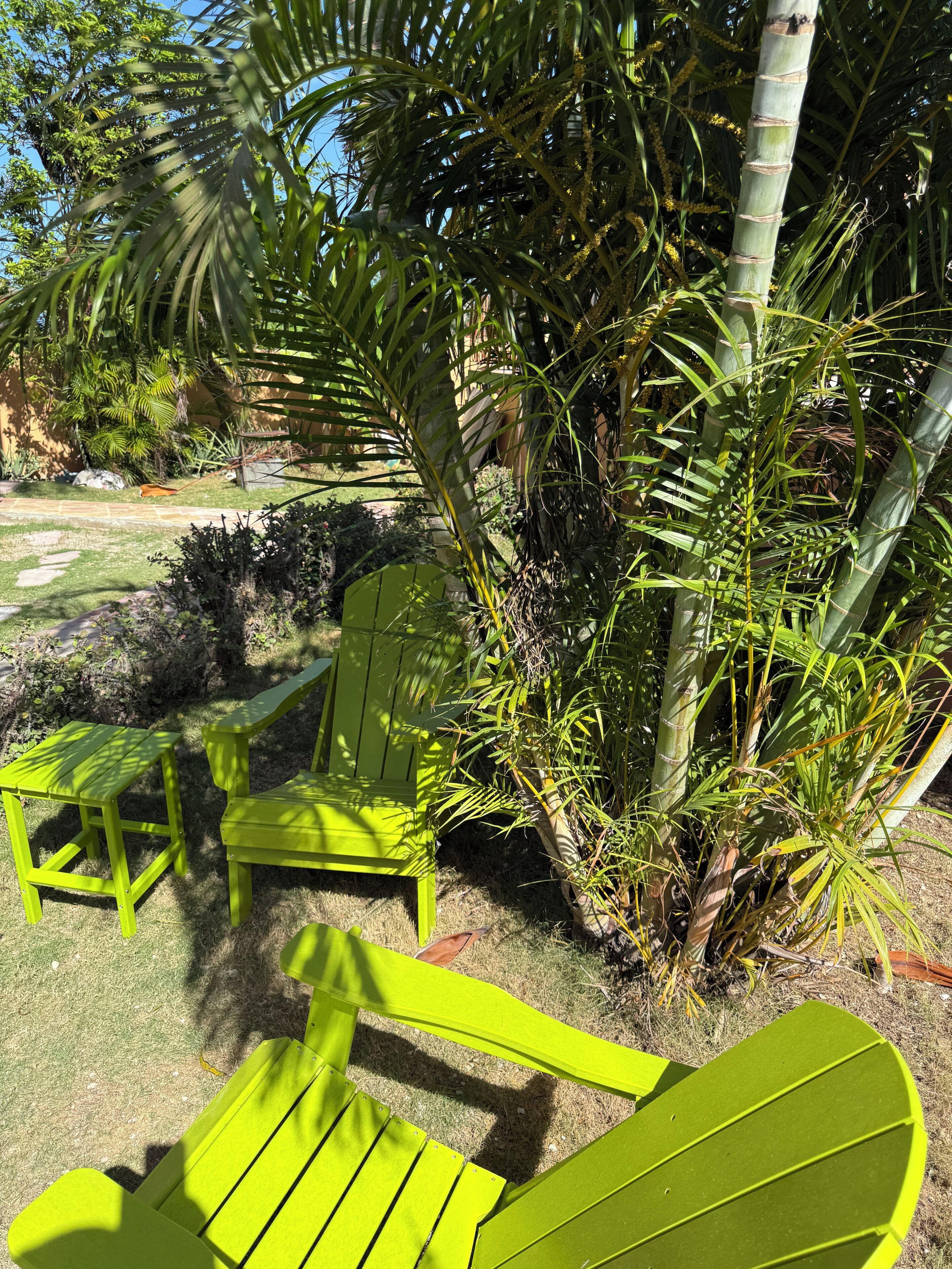 Outdoor seating with chairs and a table, surrounded by lush greenery and a palm tree.