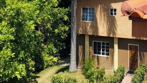 Un edificio de dos pisos con fachada marrón y techo de tejas rojas, rodeado de exuberante vegetación y una palmera alta.