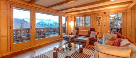 Télévision, cheminée, lecteur de DVD, livres