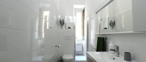 Shower, hair dryer, bidet, towels