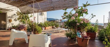Habitación doble panorámica | Terraza o patio
