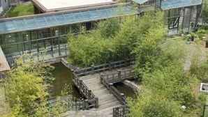 Jardín