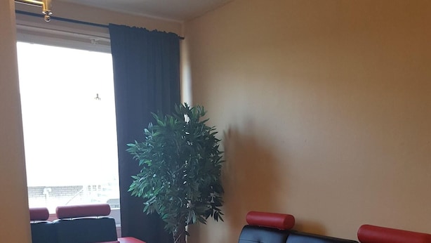 Una sala de estar moderna con sofás rojos y negros, una mesa redonda de centro y una planta grande en maceta.
