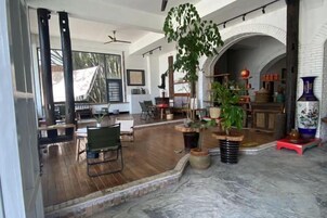Una habitación amplia con piso de madera, una planta grande y una sección de mármol.
