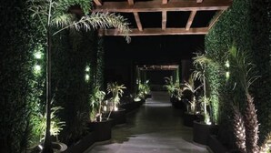 A pathway lined with potted plants and illuminated by small lights, leading to a covered area. - Dep 1 room, green terrace and view (Tulum)