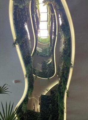 Interior - Apt 1 bedroom, washing machine and terrace with a view
(Tulum)