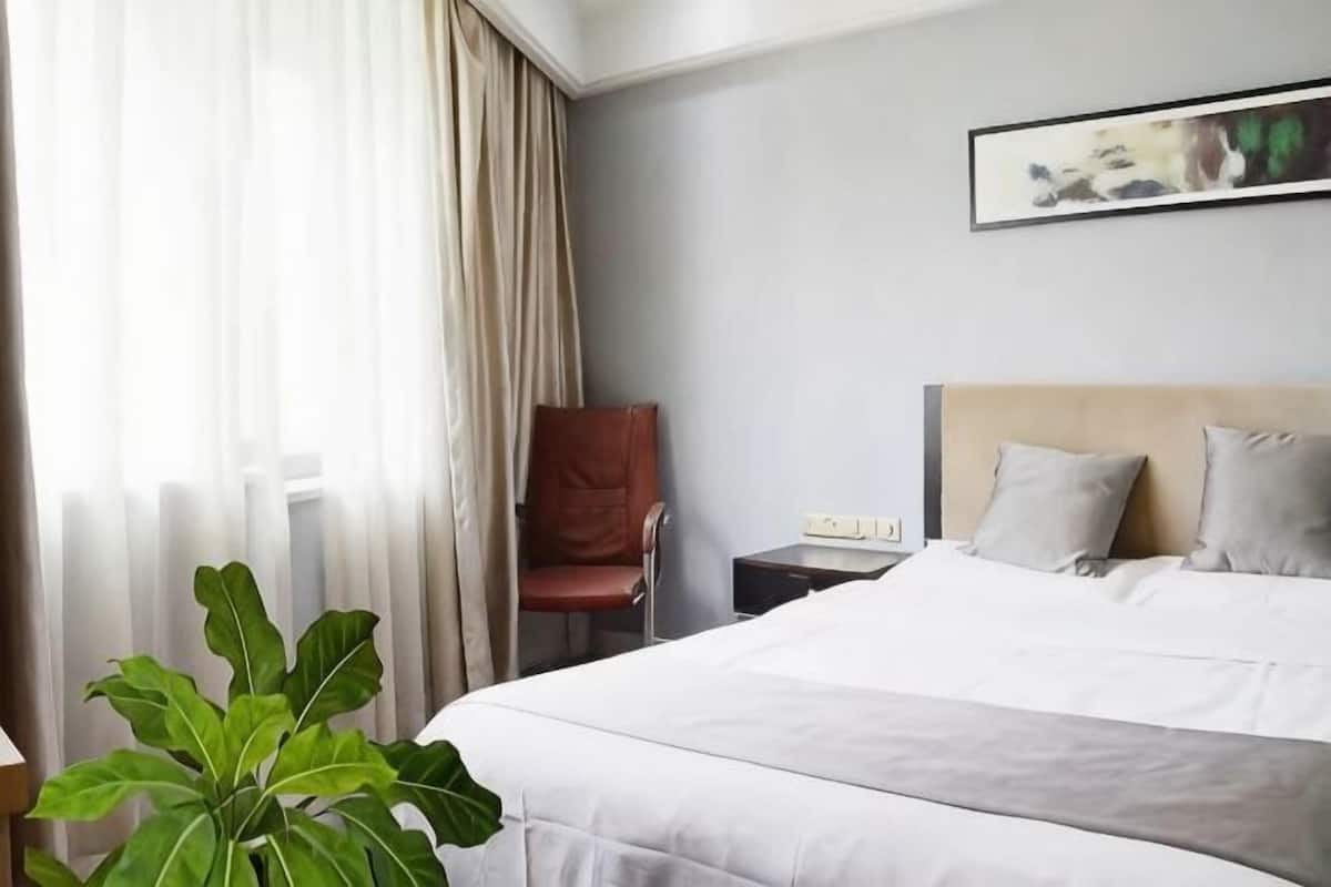 Une chambre d’hôtel avec un lit, une chaise, une table de chevet et une plante.
