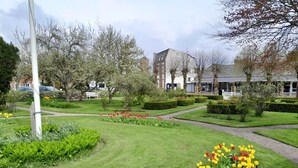 A well-maintained garden with a variety of tulips and neatly trimmed hedges. - Apartments in the heart of Hojer (Højer)