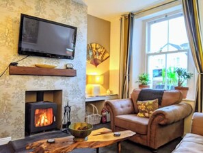 TV, fireplace, books