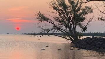 A sunset over a calm body of water with a tree on the right and a rocky shoreline.