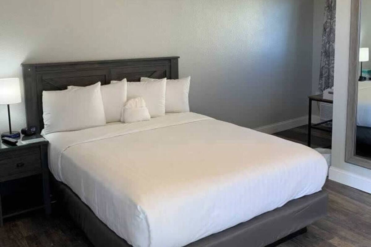 A neatly made bed with a dark headboard, a bedside table with a lamp, and a ceiling fan.