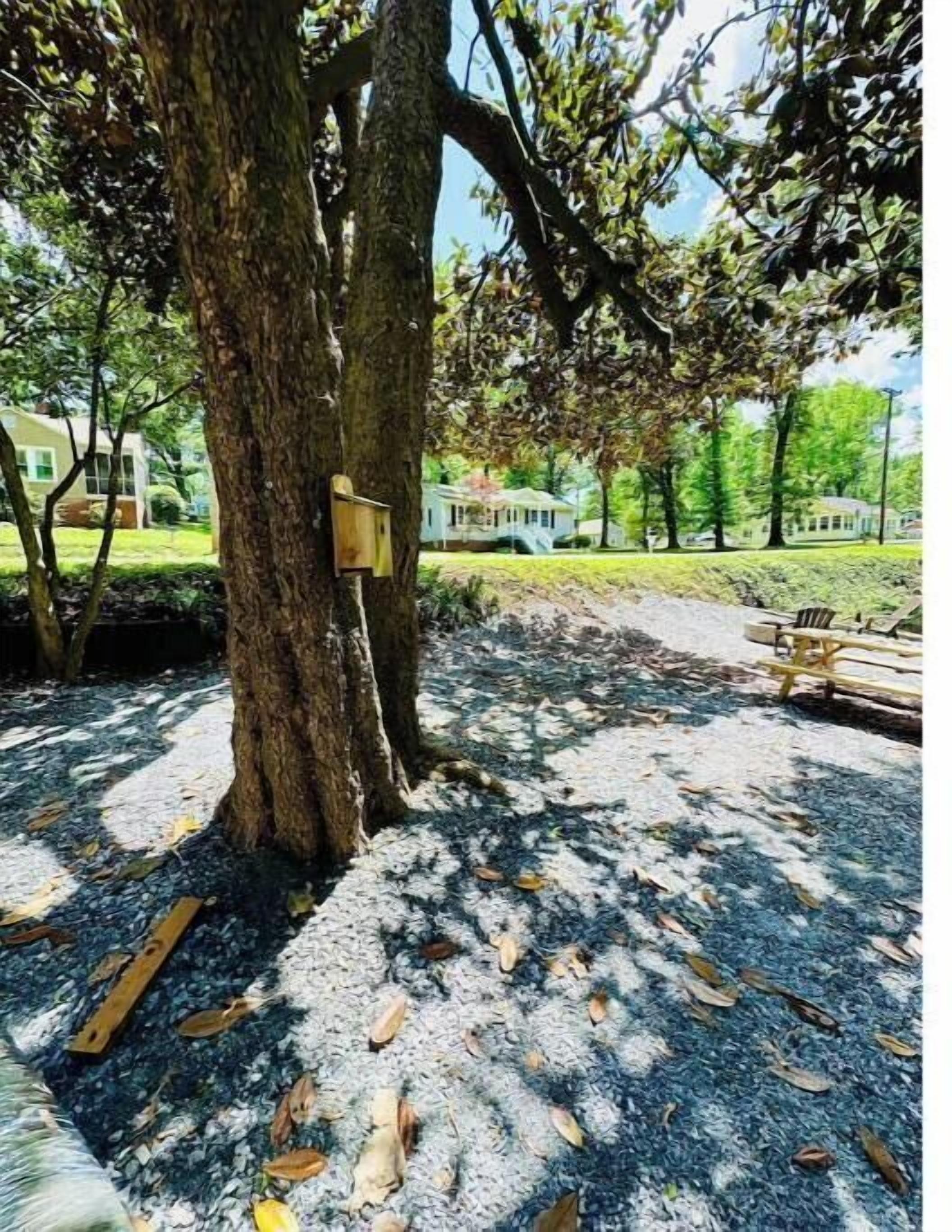 Een park met een grote boom, een houten bankje en een vogelhuisje in de boom.