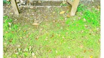 A wooden staircase leading up to a stone pathway.