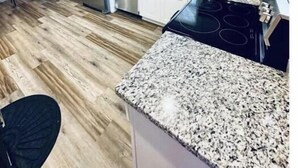 A modern kitchen with a granite countertop, stainless steel appliances, and a wooden floor. - 2BR Swamp Rabbit Getaway (Greenville)