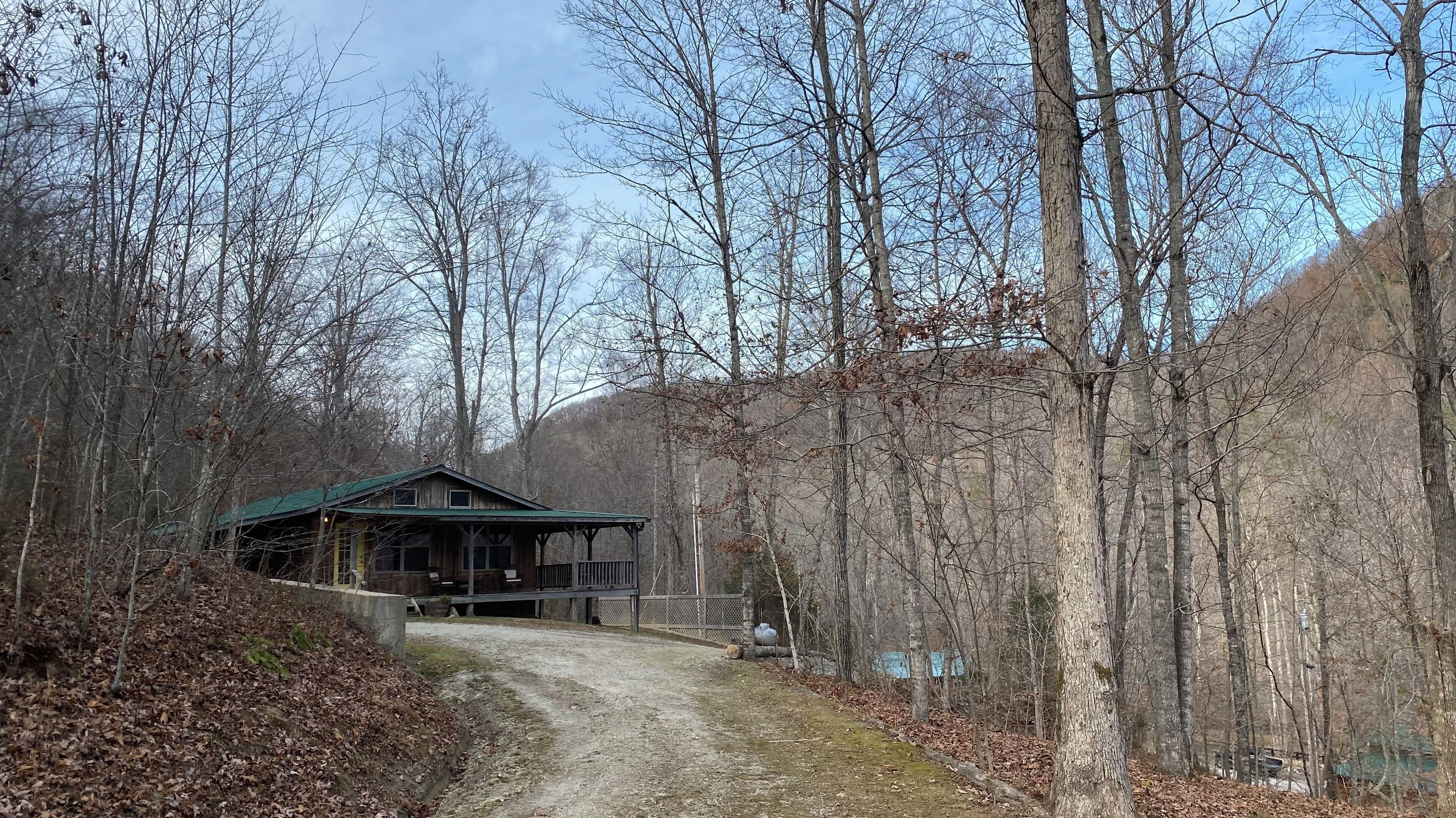 Une cabane rustique avec un toit végétalisé, entourée d’une zone boisée et accessible par un sentier de terre.