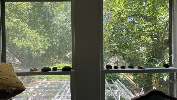 Una habitación con un ventanal grande que da a un jardín exuberante. Hay varias plantas en macetas en el alféizar.