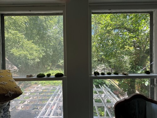 The Forest House. Charming 2-bedroom house with AC, WiFi in terrific Kansas City