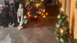 Une pièce avec un plafond en bois, une télévision, un sapin de Noël et une décoration représentant une tête de cerf.