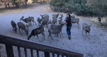 Rustic 7-BDRM and 3-bath lodge in a gated community in Los Ojos with WiFi access