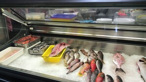 A seafood display with various types of fish on ice, a weighing scale, and stacks of white plates behind the glass. - Apartamento Junto al Mar, Wi-fi Gratis. Hasta 3 Personas (Punta del Hidalgo)