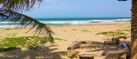 مناشف للشاطئ