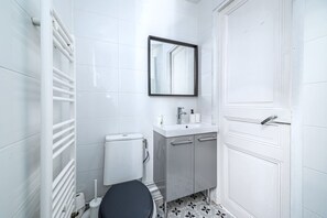 Hair dryer, towels, shampoo, toilet paper - Blue and pink flat next Montparnasse (Paris)