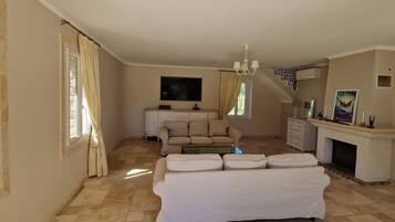 TV connectée, cheminée, lecteur de DVD, livres