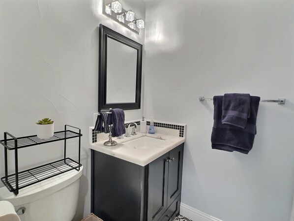 Un baño con lavamanos blanco, mueble negro y un espejo encima. Se ve un perchero con una toalla colgando, y una pequeña planta en maceta sobre una repisa negra.