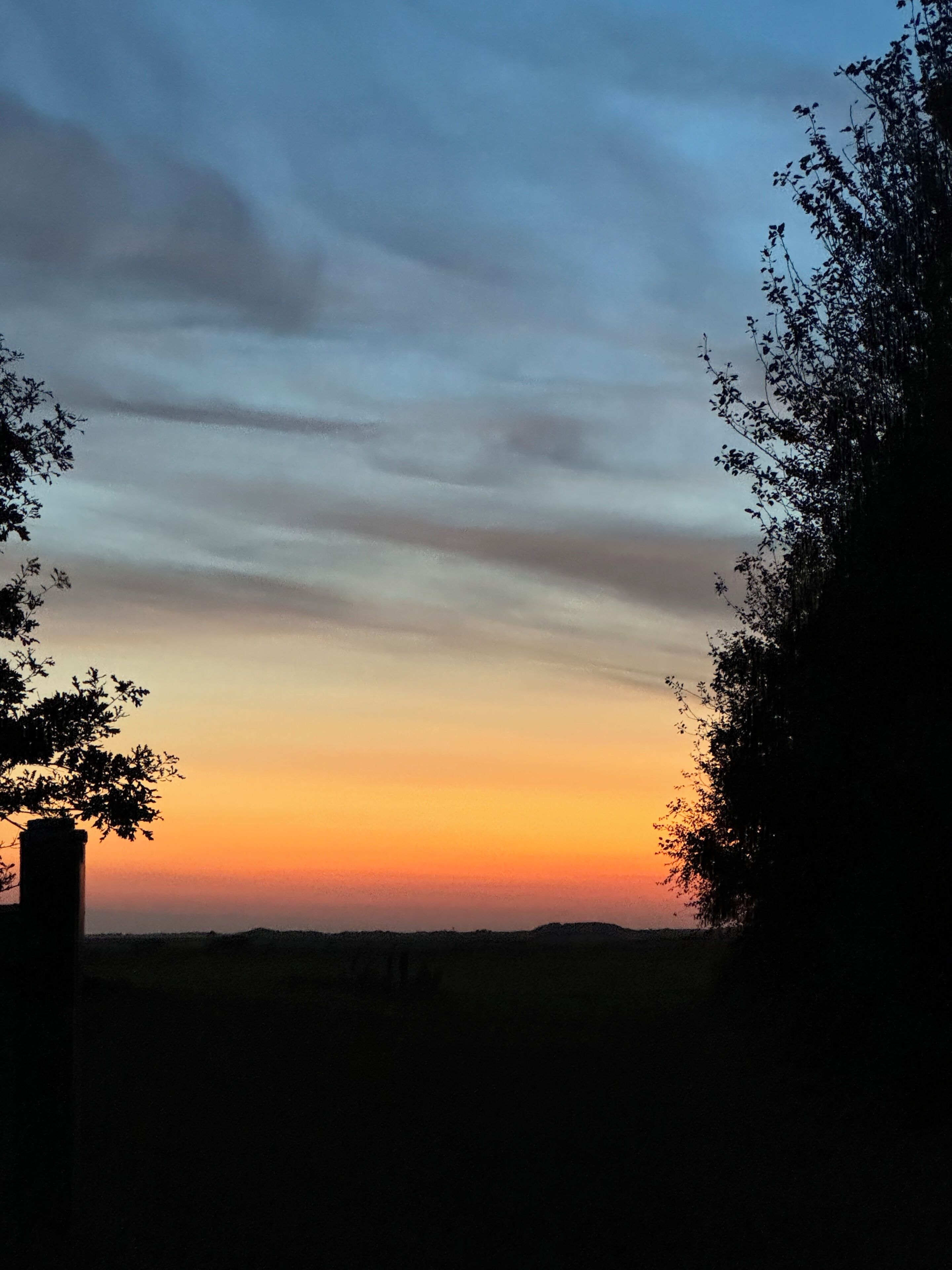 A sunset view with silhouettes of trees and a distant landscape.