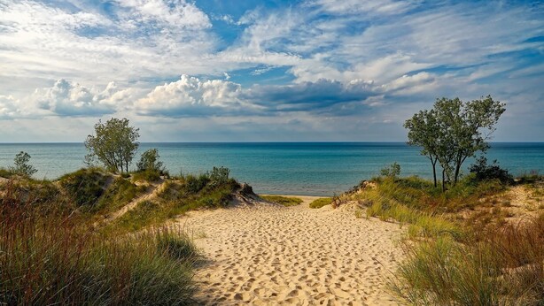 A sandy beach path leading to the ocean with dunes and sparse vegetation.