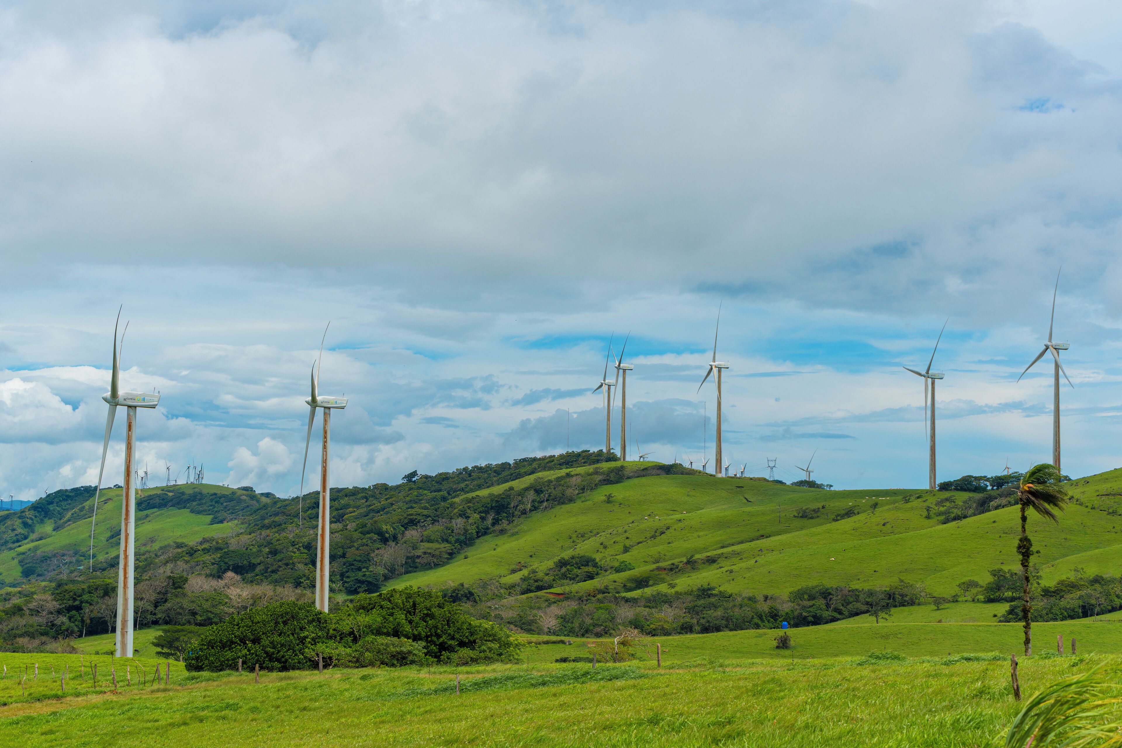 A landscape with multiple wind turbines on a green hill under a cloudy sky.
