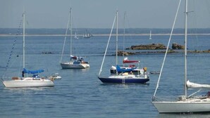 Un puerto deportivo con varios veleros amarrados.