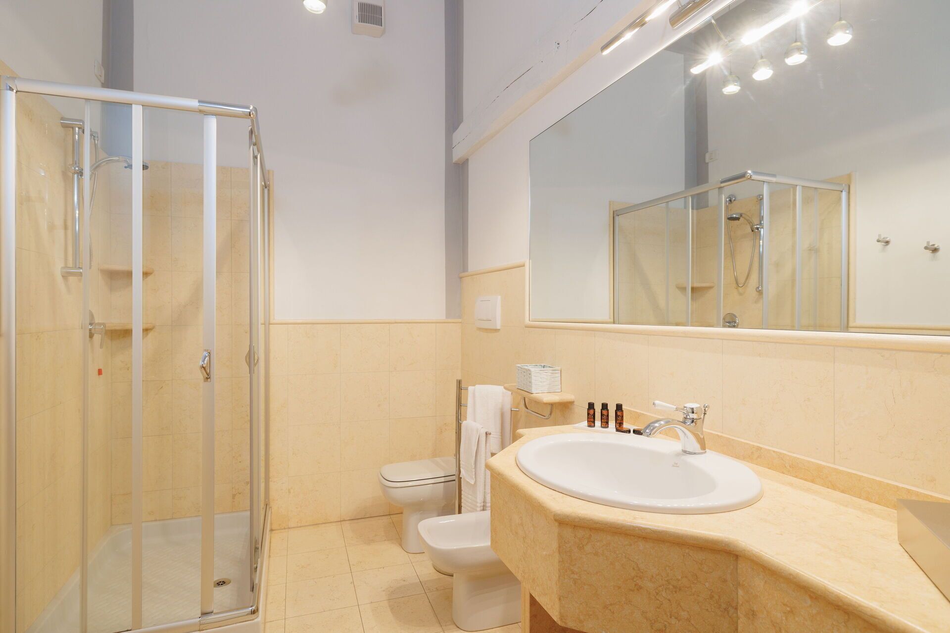A modern bathroom with a glass shower enclosure, a toilet, and a sink with a large mirror above it.