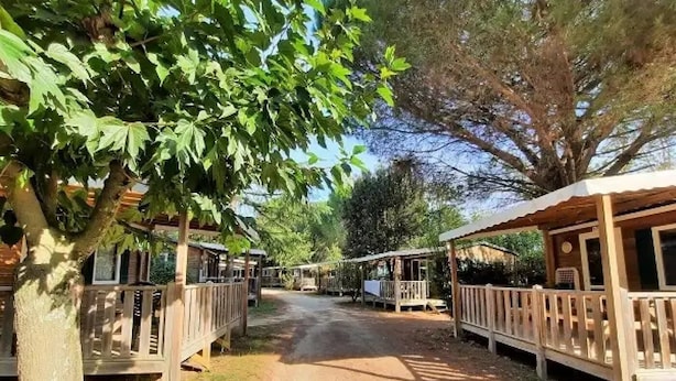 A dirt road leading to wooden cabins with balconies, surrounded by trees.