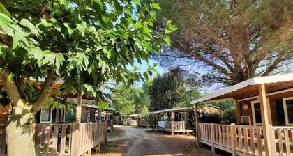 Chalet 3 étoiles - Piscine - cca0gbd