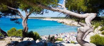 Camping 3 étoiles - eebbbc