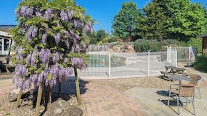 A fenced outdoor area with a pergola covered in purple flowers, a pool, and picnic tables.