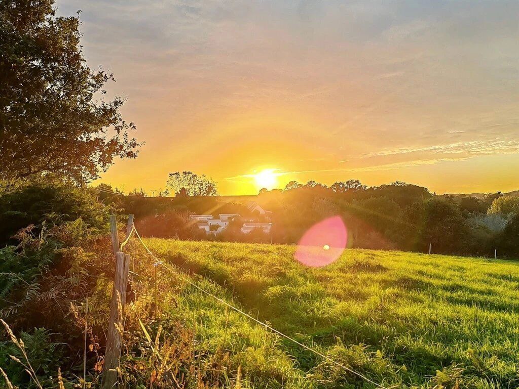 Un atardecer sobre un campo cubierto de hierba, con una cerca y árboles en primer plano.
