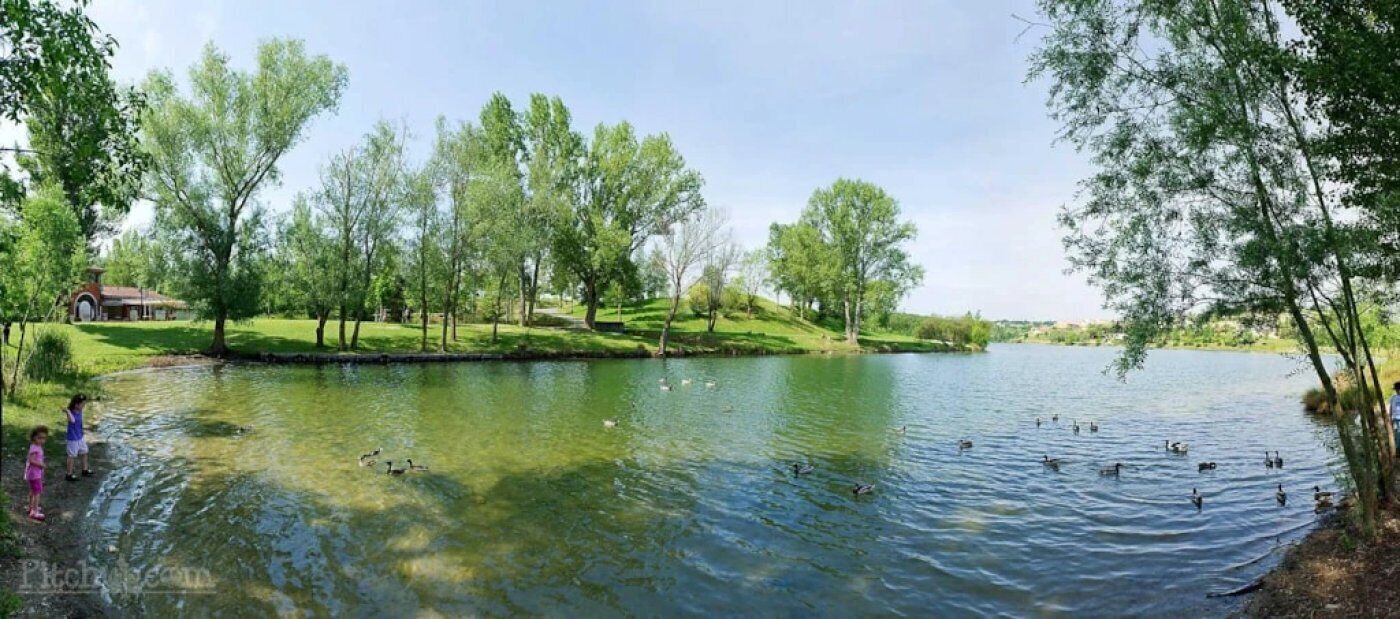 A serene lakeside setting with a small building, lush greenery, and ducks swimming.