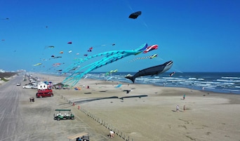 独立别墅 (3 Bedrooms) | 住宿内部