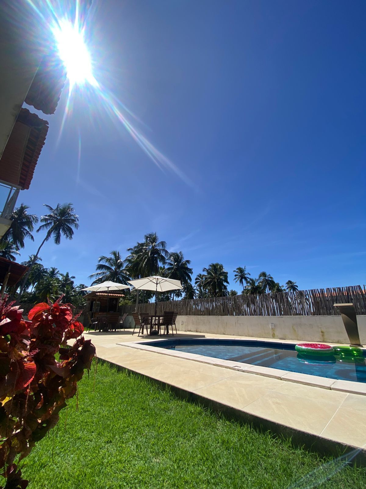 A sunny outdoor pool area with a table and chairs, surrounded by palm trees and a wooden fence.
