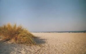 Playa