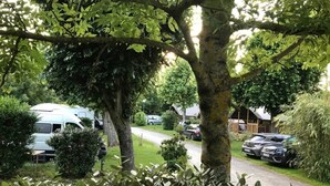 A rural road with parked cars and a white van.