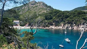 Unclassified image, 2 of 17, button