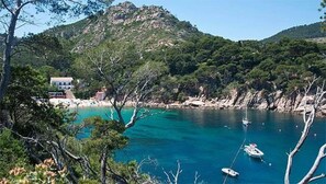 Unclassified image, 4 of 21, button