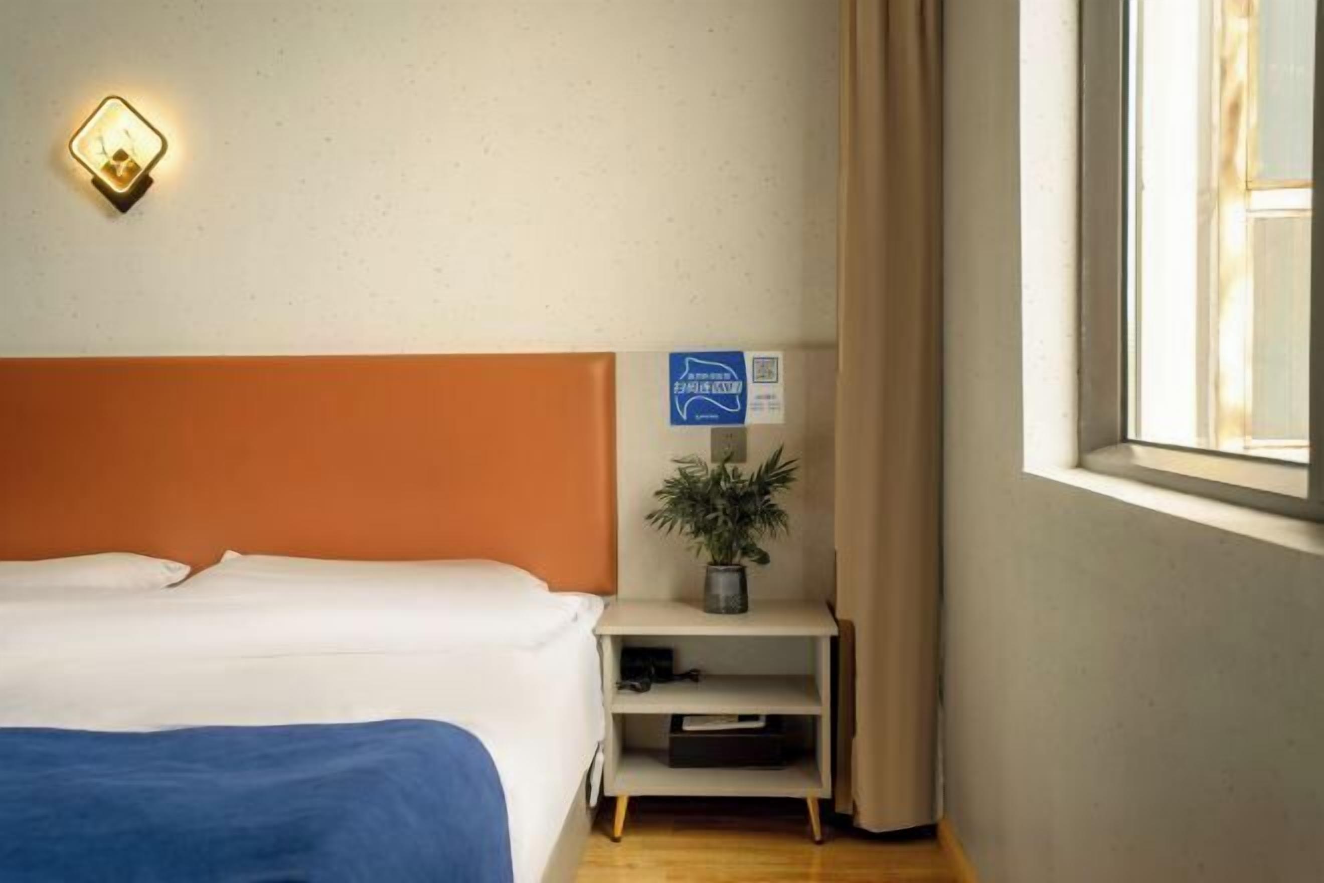 Una habitación de hotel con cama, mesita de noche con planta, cartel y ventana con cortinas.