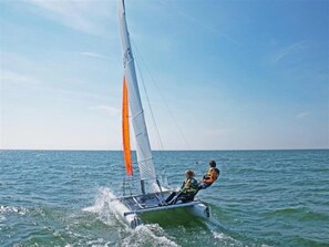 Immagine non classificata, 5 di 14, pulsante