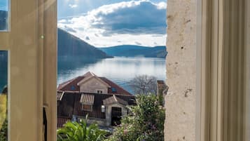 Signature Villa | View from room