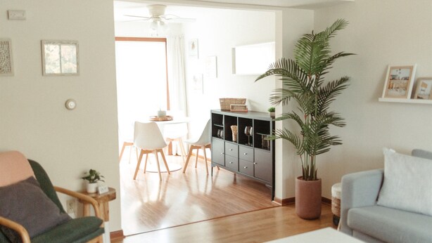 Een woonkamer met een bank, een eethoek met stoelen, een kast en een potplant.